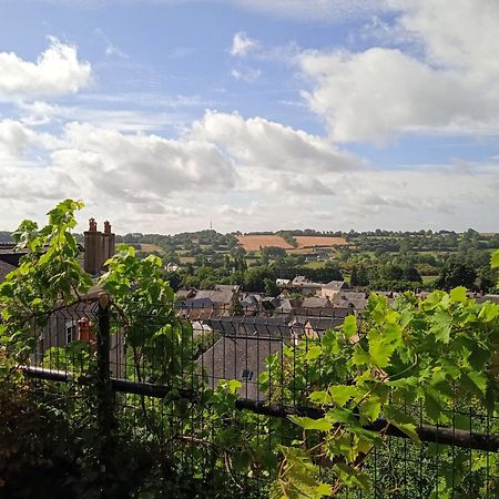 Charming Detached 2 Bedroom Ancient House In Medieval Quarter Of A Small Town In The Pays De La Loire, France Sillé-le-Guillaume Екстериор снимка