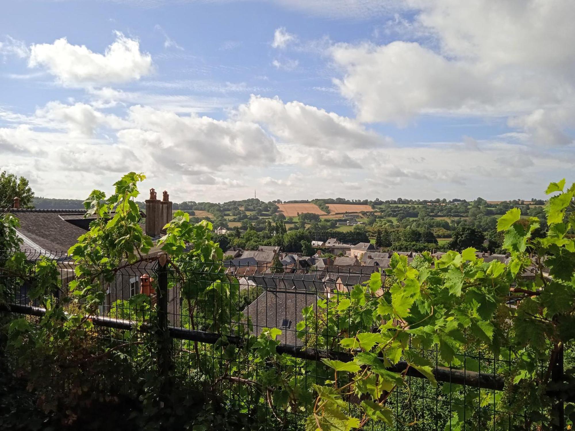 Charming Detached 2 Bedroom Ancient House In Medieval Quarter Of A Small Town In The Pays De La Loire, France Sillé-le-Guillaume Екстериор снимка